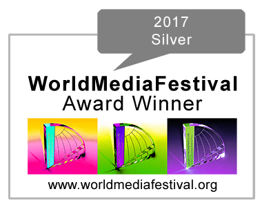 2017 WinnerGlobes - Silver - Web